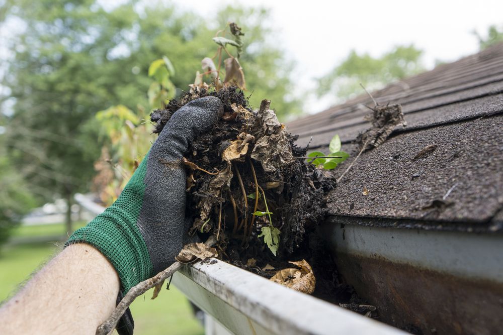 A Person is Cleaning a Gutter of Leaves and Dirt From a Roof — Norwest Roof Restorations In Blue Bay, NSW