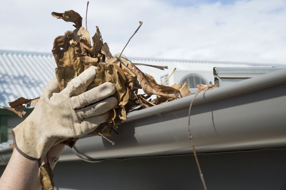 A Person is Cleaning a Gutter With Leaves — Norwest Roof Restorations In Blue Bay, NSW