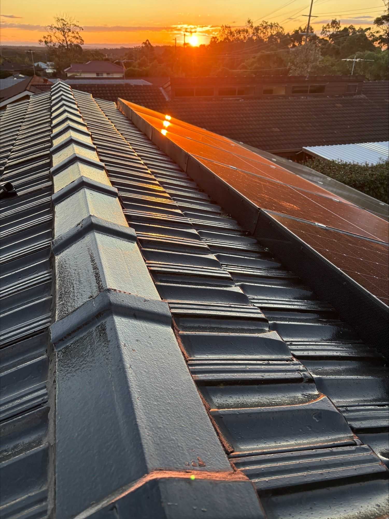 Leaf and Vermin Guard Installed Around the Panels — Norwest Roof Restorations In Blue Bay, NSW